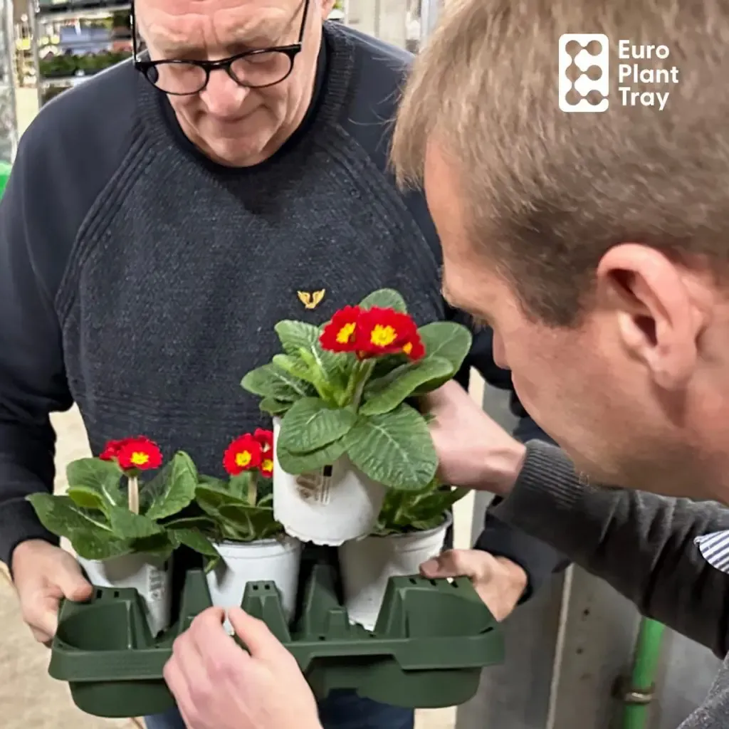 velcro tape plants Reusable Flexible Velcro Tape for Plant Securing – plantandstories main image 1